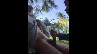 hand job in the park